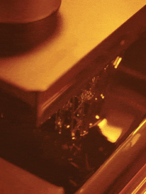 GIF SLA