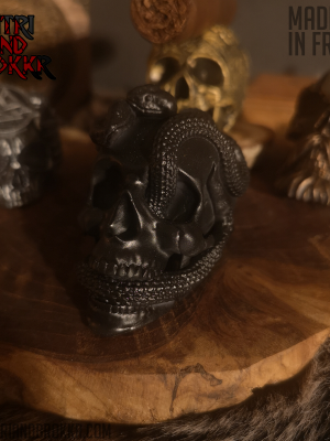Coffret Cigare - Porte cigare Snake's Smoke + boite en bois.