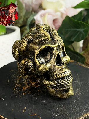 Crâne en résine avec serpent - 7,5 cm
