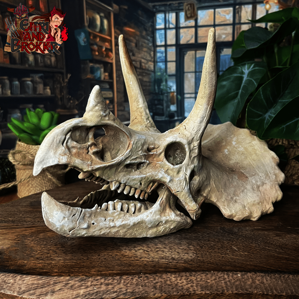 Crâne de Triceratops | paléontologie & décoration