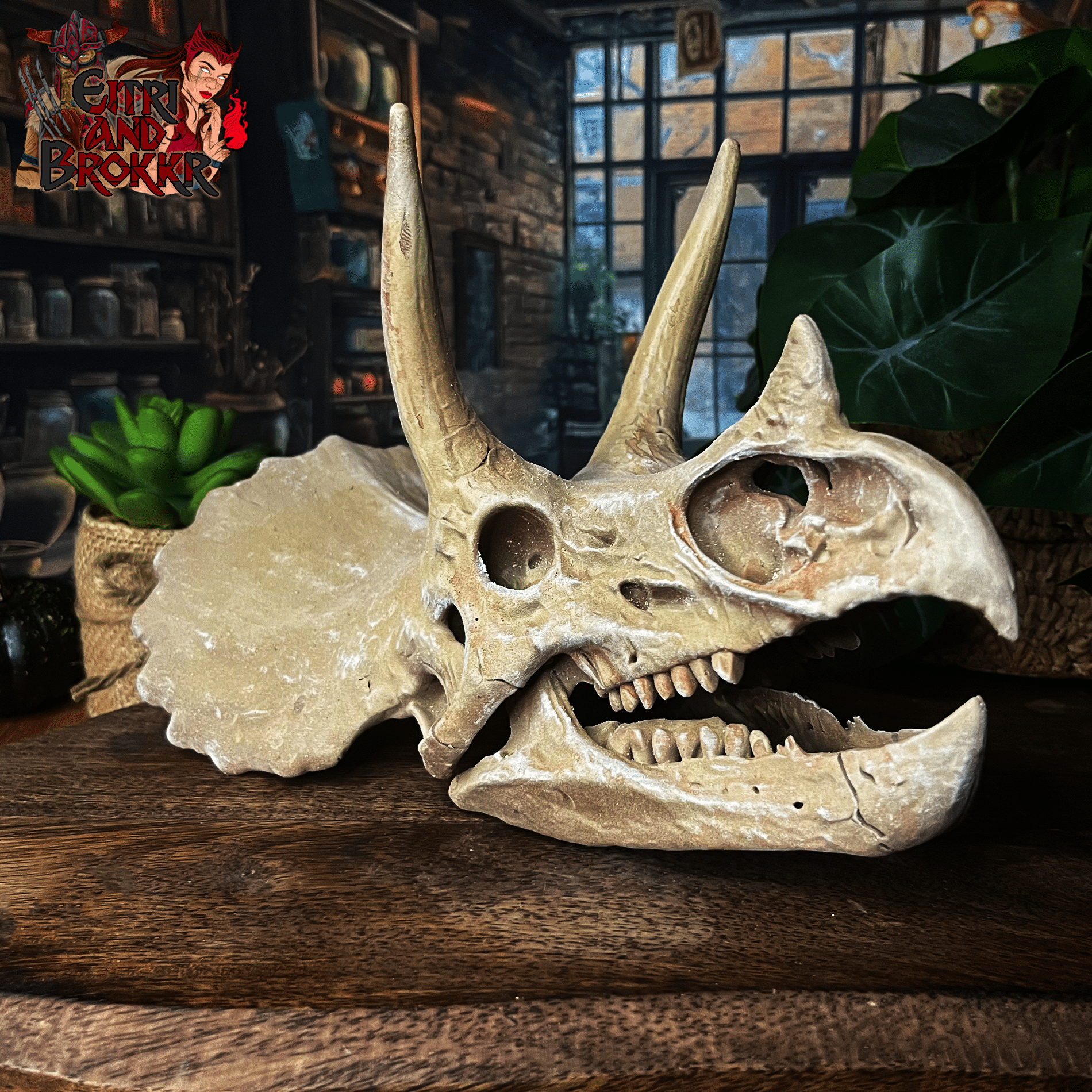 Crâne de Triceratops | paléontologie & décoration – Image 2