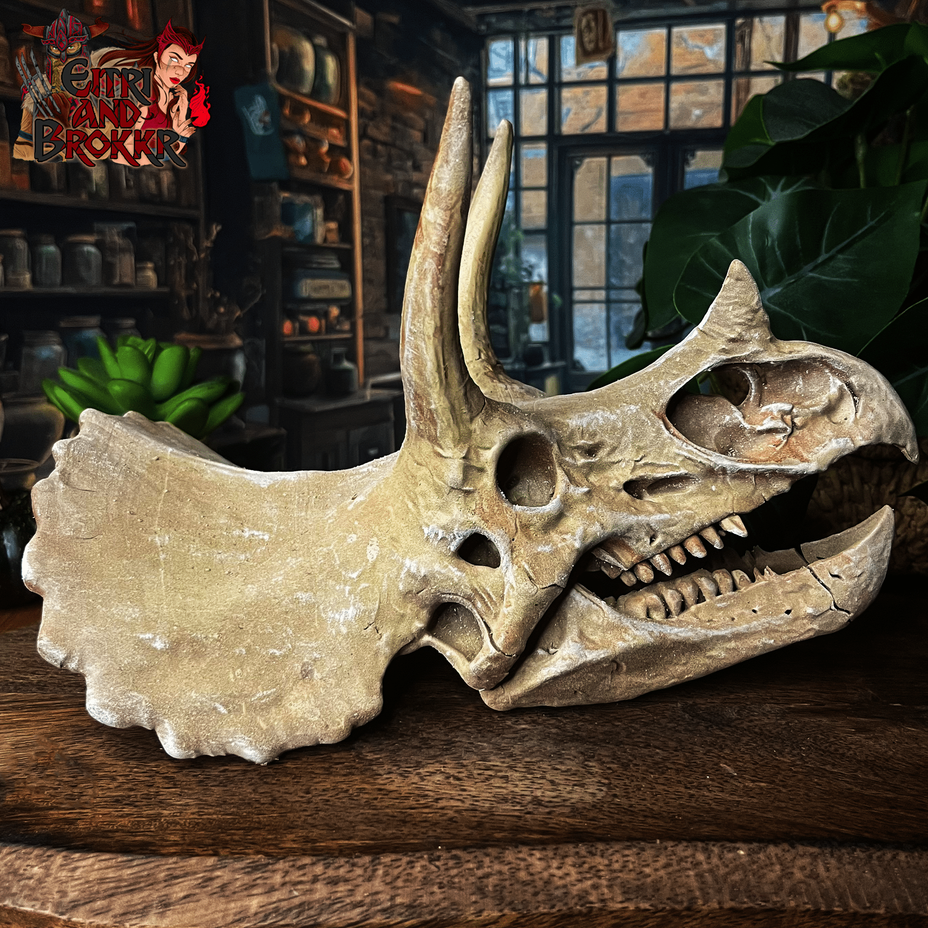 Crâne de Triceratops | paléontologie & décoration